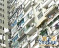 同济+铁岭nice组合+电梯精装三房+视野无遮挡+户型佳同