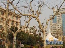 精装,地铁七十年产权住宅,中间楼层,采光好