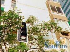 经典小三房精装修 电梯房 两南一北采光好