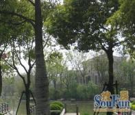 紫都上海晶园5室2厅南北