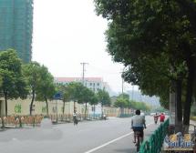 河景房+东方明珠三件套,边套全明,客厅挑高三米三