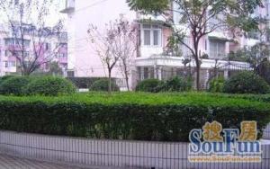 锦西名宅东区1室1厅东南