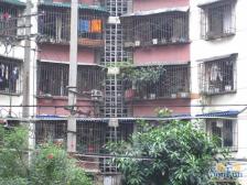 怡心园 3室1厅 南