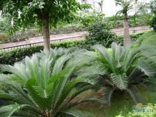 回龙湾 兰湖天小区四房