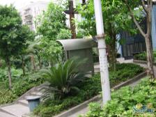 兰湖天 1室1厅 东