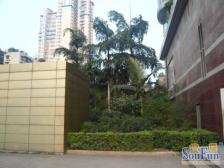 南坪 华竹花园二房75万