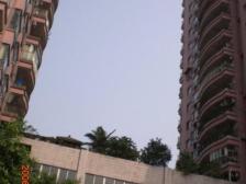 聚丰花园 2室1厅 东南