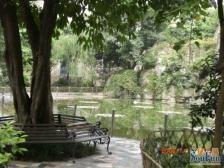 南坪 聚丰花园三房85万