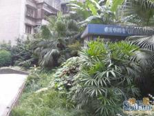 南坪 南国佳园三房98万