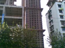 楼梯房5楼,采光好,户型方正,业主诚心卖