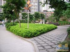 南坪 南源居二房70万