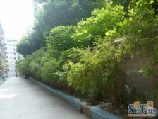 响水路 宁静小区(响水路)三房45万