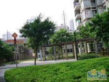 南坪万达广场 南源居 精装修小户型 价可谈