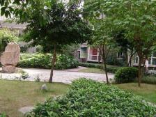 南坪公交车站旁,正规一房户型方正,交通方便出行方便