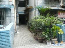 南坪+龙湖天街+万达协信+3.10.27号线