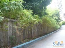 宁静小区(响水路) 4室2厅 南 北