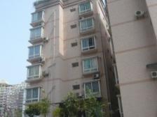 南坪正规3房 价格可以谈 总价低