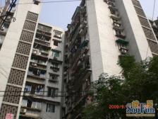 佣金3666元 南坪 兴隆苑三房46.8万