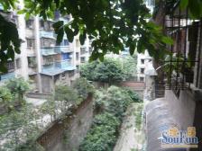 南坪商圈 难得的清水哦 快来,各位总裁