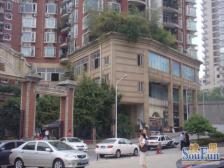 小区房环境好 精装修 看房方便 带露台