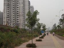 南桥寺 康和园三房92万