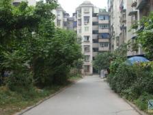 南桥寺 玉祥门小区三房39.5万