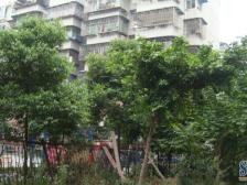 南桥寺 玉祥门小区三房60万