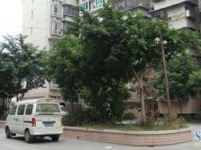 南桥寺 玉祥门小区一房26万