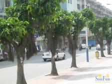 主山假日公寓带外阳台两房两厅出售