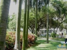 新世界花园5房,东南看湖景,景观好