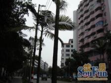 沙园小区3室2厅北