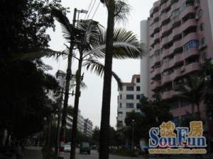 沙园小区3室2厅北