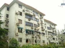 近一号线+南北三室+全明+楼层好+采光通风俱佳