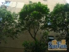 精装修,可直接入住,采光好,视野开阔,全明户型