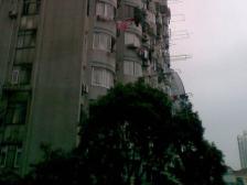 品质小区,环境优美,精装修,精装好房