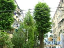 带大院子 小区中间位置 满五年 客厅带窗户