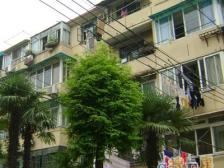 采光充足 视觉好 交通便利