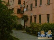 育秀一区 3室1厅 南