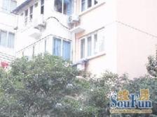 育秀一区 3室1厅 南