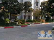 现浇房,次顶楼,采光良好,视野开阔,提前约可看