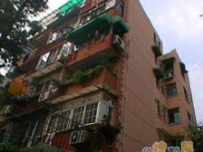 近地铁 现场实勘 无抵押,电梯房,新上房源