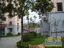 紫苑小区 1室1厅 南