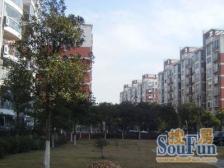 莲花河畔景苑 1室1厅 南 北