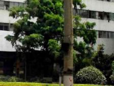 内环内,江浦路站,新华医院,中间楼层电梯西边套全明