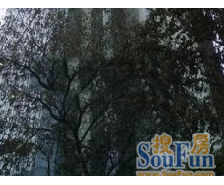 电梯房+刷卡到层+近世纪大道地铁站+车位充足+精装修