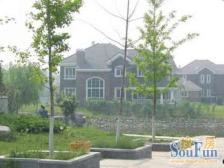 川沙·石皮路75弄·2室·1厅