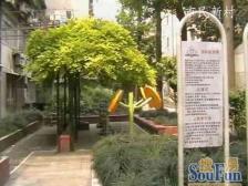 市民新村南北两房,安静位置,近地铁4/8号线