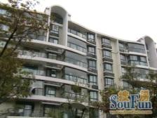 新上!电梯次顶楼,不靠高架,中间位置,边套全明!