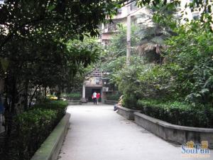 石人南路31号2室1厅南