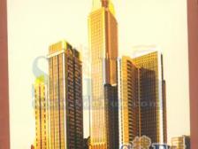 南坪商圈 万达+龙湖 朗嘎精装看江1房 随时看房